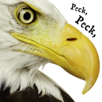 Cover image: Peck Peck Peck 9781617410086