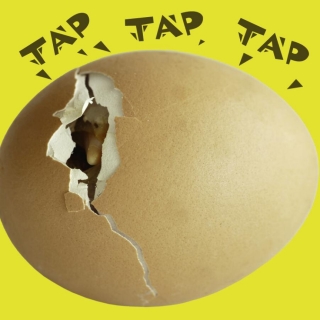 Cover image: Tap Tap Tap 9781617410116