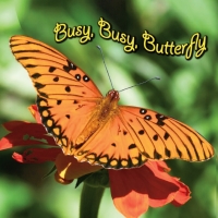 صورة الغلاف: Busy, Busy Butterfly 9781604724561