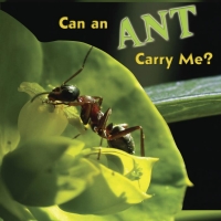Omslagafbeelding: Can an Ant Carry Me? 9781604724257