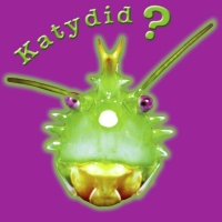 Cover image: Katydid? Katy Didn't! 9781604724271