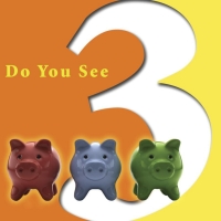 Cover image: Do You See Three? 9781604724394