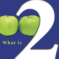 Cover image: What Is Two? 9781604724400