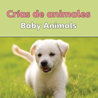 Imagen de portada: Crias de animales 9781615900855