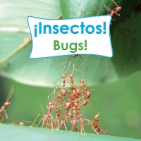 صورة الغلاف: Insectos! 9781615900930