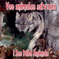 Imagen de portada: Veo animales salvajes 9781615901005