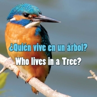 Cover image: Quien vive en un arbol? 9781615901036