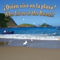 Omslagafbeelding: Quien vive en la playa? 9781615901067