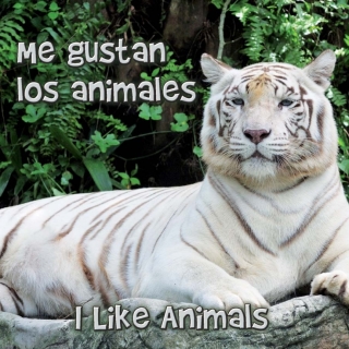 Cover image: Me gustan los animales 9781615901135