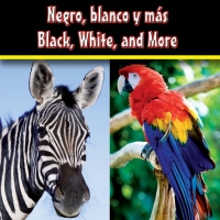 Imagen de portada: Negro, blanco y mas 9781615901159