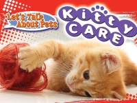 صورة الغلاف: Kitty Care 9781615904860