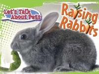 Imagen de portada: Raising Rabbits 9781615904891