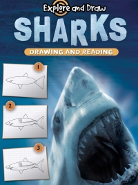 Cover image: Sharks, Drawing and Reading 9781615904921
