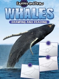 表紙画像: Whales, Drawing and Reading 9781615902538