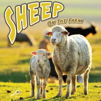 表紙画像: Sheep On The Farm 9781615905072