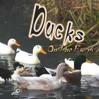 صورة الغلاف: Ducks On The Farm 9781615905096