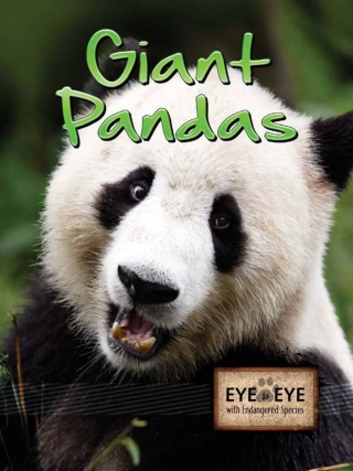 Cover image: Giant Pandas 9781615905126