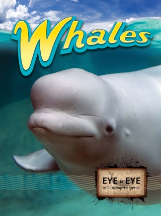 Cover image: Whales 9781615905133