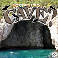 Omslagafbeelding: What's in a… Cave? 9781615905171