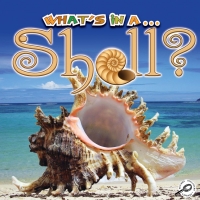 Cover image: What's in a… Shell? 9781615905195