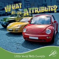 Cover image: What Is An Attribute? 9781615905355