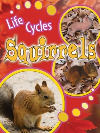 Cover image: Squirrels 9781615905492