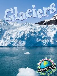 Imagen de portada: Glaciers 9781615905546