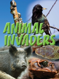 Imagen de portada: Animal Invaders 9781615905584