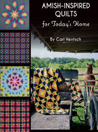 Omslagafbeelding: Amish-Inspired Quilts for Today's Home 9781617453205