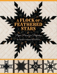 Immagine di copertina: A Flock of Feathered Stars 9781611690804
