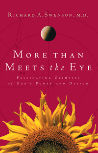 Cover image: More Than Meets the Eye 9781576830697