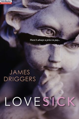 Omslagafbeelding: Lovesick 9781617734755