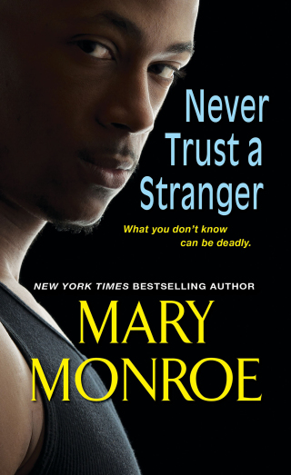 صورة الغلاف: Never Trust a Stranger 9781617738067