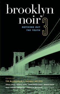 Cover image: Brooklyn Noir 3 9781933354149