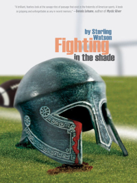 Cover image: Fighting in the Shade 9781936070985