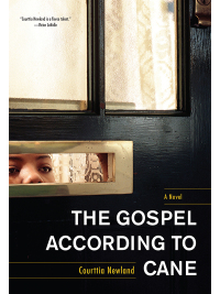 Titelbild: The Gospel According to Cane 9781617751332