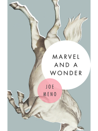 Immagine di copertina: Marvel and a Wonder 9781617753930