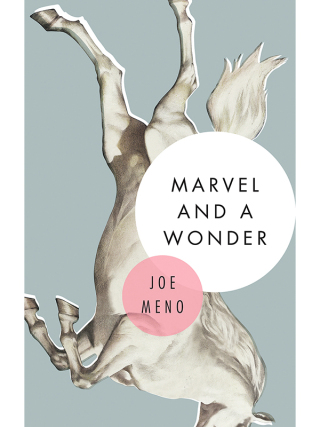 Cover image: Marvel and a Wonder 9781617753930