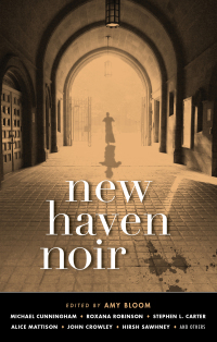 Titelbild: New Haven Noir 9781617755415