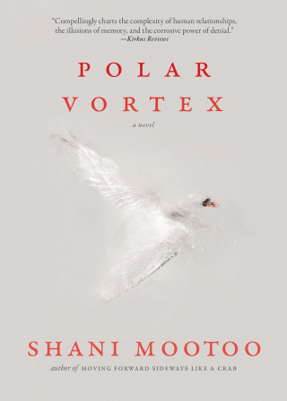 Imagen de portada: Polar Vortex 9781617758621