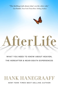 Cover image: Afterlife 9781617950810
