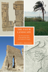 Cover image: The Fayum Landscape 9789774168833