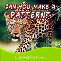 Omslagafbeelding: Can You Make A Pattern? 9781618102058