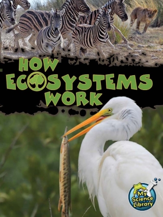 Cover image: How Ecosystems Work 9781618102201