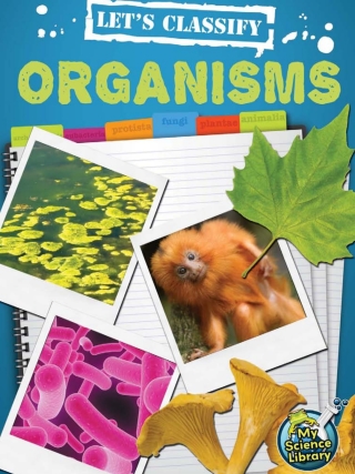Imagen de portada: Let's Classify Organisms 9781618102317