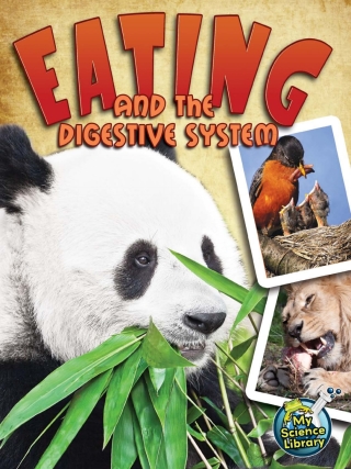 Cover image: Eating and The Digestive System 9781618102348
