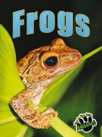Imagen de portada: Frogs 9781618102461