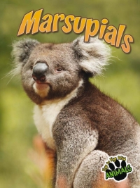 Cover image: Marsupials 9781618102478
