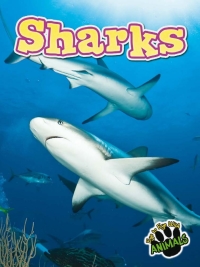 Cover image: Sharks 9781618102485