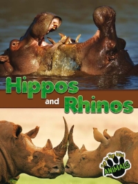 Imagen de portada: Hippos and Rhinos 9781618102508